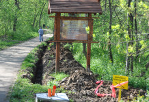 БАЊИЧКА ШУМА ДОБИЈА ОСВЕТЉЕЊЕ