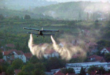 ЗАПРАШИВАЊЕ КОМАРАЦА НА ВОЖДОВЦУ