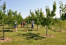 САВЕТ ЗА ПОЉОПРИВРЕДУ У ПОСЕТИ ПОЉОПРИВРЕДНИМ ГАЗДИНСТВИМА РИПЊА