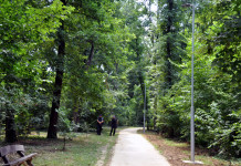 ПОСТАВЉЕНА ЈАВНА РАСВЕТА У БАЊИЧКОЈ ШУМИ