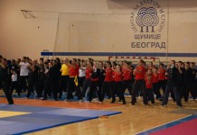 ODRŽANE WUSHU IGRE 2010 – KINESKE BORILAČKE VEŠTINE