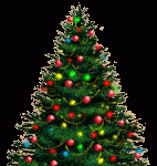 AKCIJA SPASAVANJA JELKI NA VOŽDOVCU