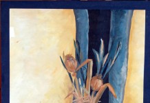 HUMANITARNA PRIREDBA “DECA VOŽDOVCA DECI KRALJEVA”