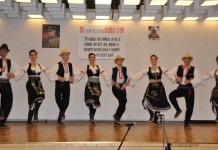 VOJVODI STEPI U ČAST