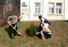 SPAŠENE NOVOGODIŠNJE JELKE NA VOŽDOVCU