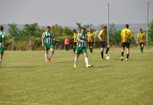 НАСТАВЉА СЕ БОРБА ЗА „ТРОФЕЈ ВОЖДОВЦА 2016“