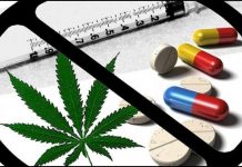 ПРЕВЕНЦИЈА НАРКОМАНИЈЕ И БЕСПЛАТНО МЕРЕЊЕ ШЕЋАРА У КРВИ У ДЗ „ВОЖДОВАЦ“