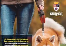 БЕСПЛАТНА ВАКЦИНАЦИЈА, СТЕРИЛИЗАЦИЈА И ЧИПОВАЊЕ КУЋНИХ ЉУБИМАЦА