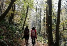 “U PRIRODU PO ZDRAVLjE” – preventivna akcija Doma zdravlja „Voždovac“