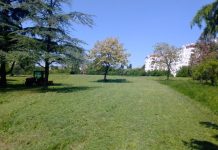 ČIŠĆENjE DEPONIJA I KOŠENjE TRAVE NA VOŽDOVCU